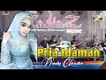Download Lagu Pria Idaman - Nindy Claudia || ZabiaZ Musik Situbondo