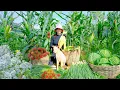 Download Lagu Country Girl Harvest: Sweet Corn, Cabbage, Scallions, Rambutan, Flowers To Sell At The Market, Cook.