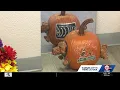 Lee s Summit vet clinic gets community involved in pumpkin contest for a good cause
