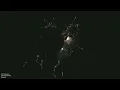 Ludovico Einaudi - Primavera