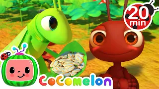 Download The Ant and the Grasshopper 20 MIN LOOP  | CoComelon Nursery Rhymes \u0026 Kids Songs | Animal Songs MP3