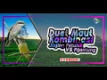 Download Lagu DUET MAUT ‼️ Masteran Kombinasi Jinjing Petulak VS Pijantung, Suara Jernih Dijamin Mudah Ditirukan