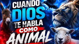 Cuando Dios te habla como animal | Génesis versículo a versículo