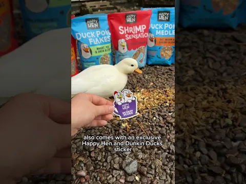 The Dunkin Ducks bundle from happyhentreats has Sugar’s stamp of approval! The bundle