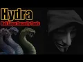 Penetration Testing with Hydra and Kali Linux
