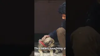 The Lion And The Man An Unbelievable Friendship That Changed The Jungle Forever  The Lion And The Man An Unbelievable Friendship That Changed The Jungle Forever