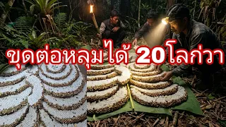 ขุดต่อหลุมยักษ์หลุมเดียวได้20 กิโลกว่า[อาข่าน้อย]