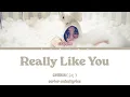 Download Lagu GYUBIN (규빈) - Really Like You (Color Coded Lyrics [Han/Rom/Eng])