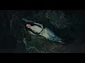 Noah Cyrus - Way Of The World (Feat. Ella Langley) (Official Visualizer)
