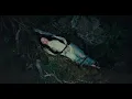 Download Lagu Noah Cyrus - Way Of The World (Feat. Ella Langley) (Official Visualizer)