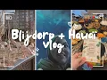 Download Lagu BLIJDORP + KOOKCLUB HAWAÏ | VLOG #14