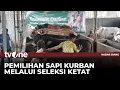 Download Lagu Melihat Sapi Kurban Presiden Prabowo yang Berjenis Pegon Crosing | Kabar Siang tvOne