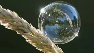 الأذان بصوت الشيخ ماهر المعيقلي   أترك لكم التعليق    دندنها