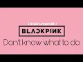 BLACKPINK - Don't know what to do FLP | Clean instrumental | FL Studio Remake \u0026 Remix |