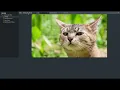 Working with Text Files in Python