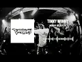 Download Lagu Tinky Winky - Mimpi Semata