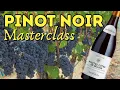 Pinot Noir Masterclass Everything You Need to Know Classic Burgundy Tasting