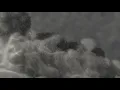 Tour of an activated T Cell with Dynabeads