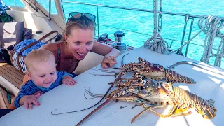 How we FEED OUR FAMILY off the grid – Sailing Vessel Delos Ep. 273
