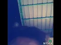 Download Lagu Dimas Cover - Hingga Akhir Waktu (Nine Ball)