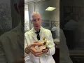 Spinal Decompression Therapy Explained