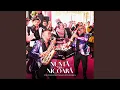 Download Lagu Nuntă cu Nicoară (feat. Petrică Brundeanu, Petrica Nicoara)