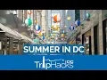 5 BEST Summer Things to do in Washington DC