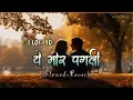 Lagu A Mor pagli ।। ये मोर पगली।। Cg Instagram Trending Song ।। 8D Slowed \u0026 Reverb।। Lofi Mix..