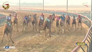 تأهيل اللقايا للقبائل المرموم 13 1 2017 ص ش9 الراسيه لـ علي سالم بو داؤود الدرعي 7 42 0 