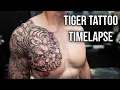 TIGER CHEST PIECE TATTOO