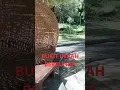 Viral!!! Dibukit Indah Berbunga @bennichaidir3668