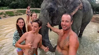 Meeting ELEPHANTS Thailand Episode 139 Sailing Catalpa