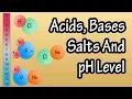 Acids And Bases Salts And pH Level - What Are Acids Bases And Salts