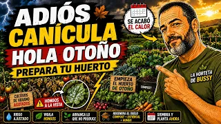 Fin de la canícula: qué hacer ahora en el huerto