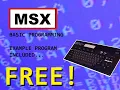 MSX Computer Programming BASIC Example Included