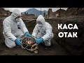 Download Lagu Arkeolog Menemukan Otak yang Terbuat dari Kaca, Dan Itu Mengerikan