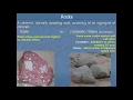 Composition of the Earth crust
