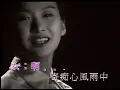 張學友 + 湯寶如   相思風雨中 1992