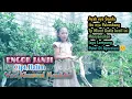 ENGOK JANJI - Lagu Lampung Terpopuler - Cipt,Halim - Cover, Khusnul Maulidia