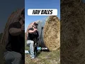 Download Lagu How Many Hay Bales Does it Take to Stop a 50 Cal Sniper Rifle?