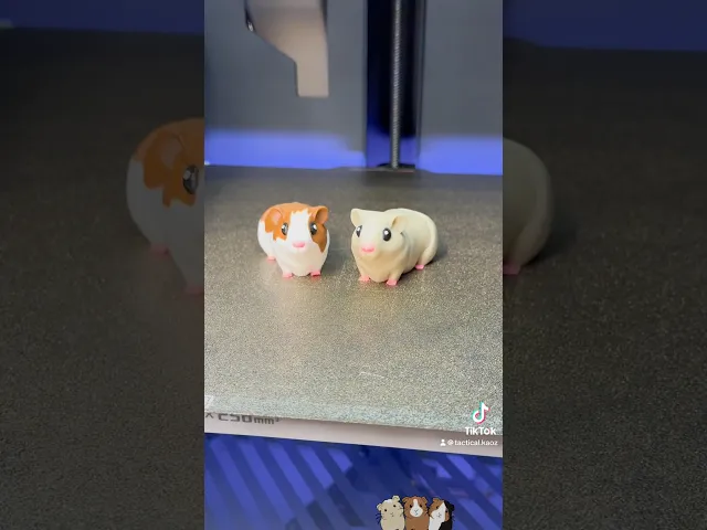 Adorable Articulating Flexy Guinea Pigs video thumbnail