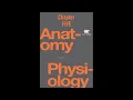 OpenStax Anatomy And Physiology book Chapter 5 - Read Along
