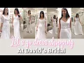 I TRIED ON 11 WEDDING DRESSES AT DAVID S BRIDAL Lindsey Cameron