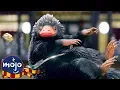 Video di Top 10 Fantastic Beasts In The Harry Potter Universe