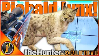 Base Game Weapons vs Medved-Taiga PIEBALD Lynx Call of the Wild