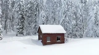 k girdi aram za erhan do an u0026 d gezginleri 2022