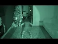 Lagu Poltergeist Goes WILD… Then a TERRIFYING Sighting