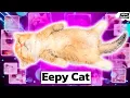 Eepy Cat meme Explained
