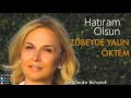 Ayşen Birgör - Şarkılarda Buluştuk [ Hatıram Olsun © 2013 DMS Müzik ]
