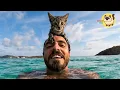 Abandoned at Just 5 Weeks Old She Followed Me Straight Into the Ocean